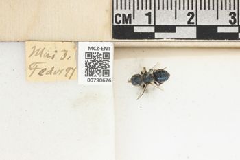 Media type: image;   Entomology 790676 Aspect: Labels